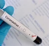Coronavirus Schnelltests Sie Erhalten Eine Personliche Einladung Marktgemeinde Hagenbrunn Startseite